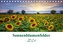 Sonnenblumenfelder (Tischkalender 2021 DIN A5 quer)