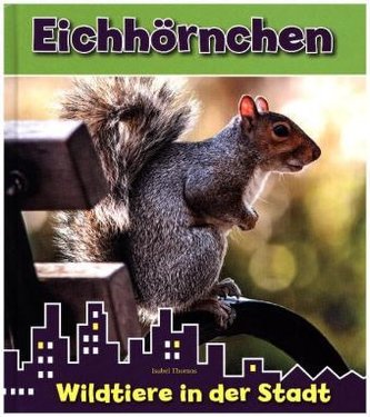 Eichhörnchen