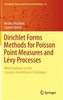 Dirichlet Forms Methods for Poisson Point Measures and Levy Processes