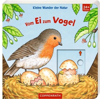 Kleine Wunder der Natur: Vom Ei zum Vogel