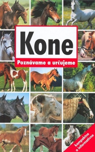 Kone