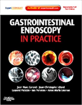 Gastrointestinal Endoscopy in Practice