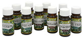 Saloos Eukalyptus - 100% prírodný esenciálny olej pre aromaterapiu 10 ml