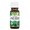 Saloos Litsea cubeba - 100% prírodný esenciálny olej na aromaterapiu 10 ml