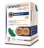 Simply You GinkgoMAX + Lecitin Da Vinci Academia 60 tobolek