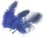 Dekorativní peříčka Guinea modrá 20 ks / 5 cm