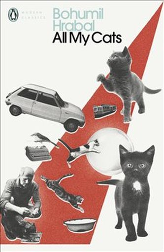 All My Cats All My Cats
