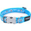 Obojek RD 20 mm x 30-47 cm - Penguin Turquoise
