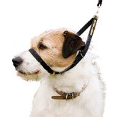 Obojok Canny veľ. 2 - 28 - 33 cm - čierny