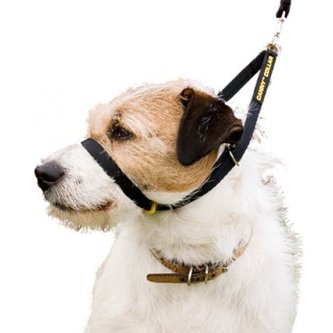 Obojok Canny veľ. 2 - 28 - 33 cm - čierny