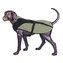 Arma-Doggo - bunda pro psy - Khaki/Blk - Petite 2