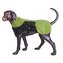 Puff-Doggy - zateplená bunda - Lime/Blk - Petite 2