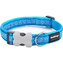 Obojek RD 12 mm x 20-32 cm - Daisy Chain Turquoise