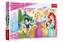 Puzzle Disney princezny - Sen o princezně 100 dílků 41x27,5cm v krabici 29x19x4cm