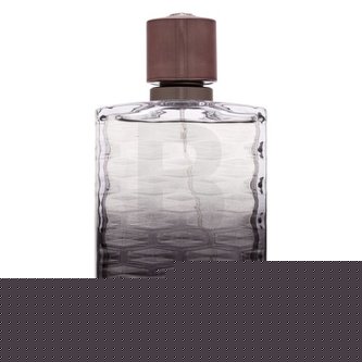 Jaguar Stance Jaguar - EDT 100 ml man