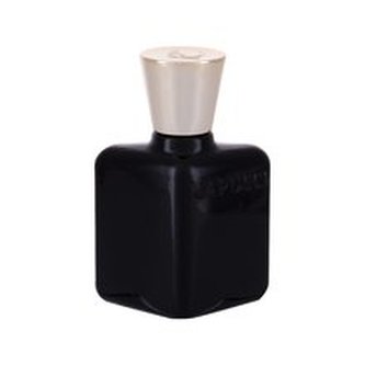 Roberto Capucci Anima Nera Parfémovaná voda 100 ml pro muže