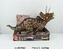 Triceratops model