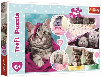 Puzzle: Mačiatka 160 dielikov