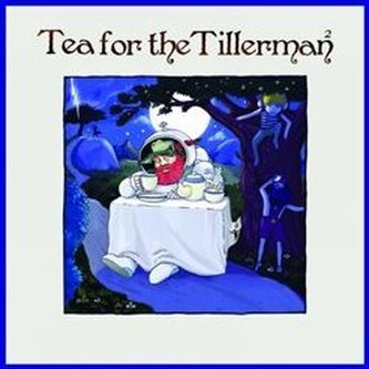 Tea For The Tillerman 2