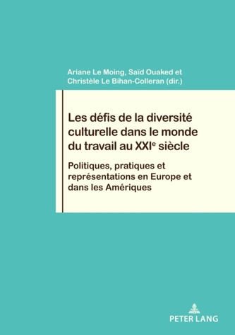 Les Defis de la Diversite Culturelle Dans Le Monde Du Travail Au Xxie Siecle