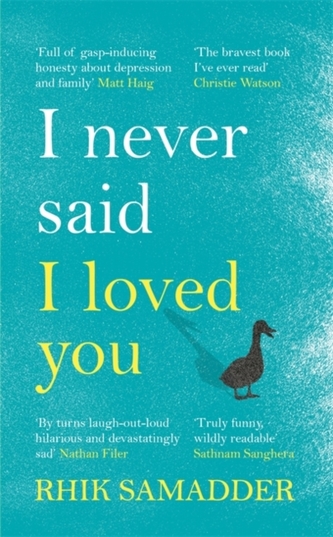 I Never Said I Loved You