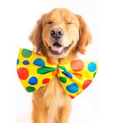 Přání do obálky PETs