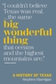 Big Wonderful Thing