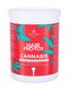 Kallos Cosmetics Hair Pro-Tox Maska na vlasy Cannabis 1000 ml pro ženy