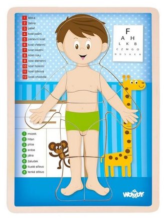 Woody Puzzle Ľudské telo - Chlapec, v slovenskom jazyku