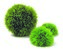 Rostl.akv.BIORB UH zelene koule 3ks
