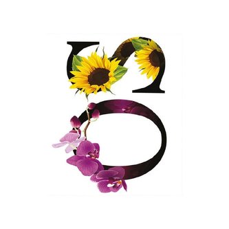 Cadence transferový obrázek na textil 25 x 35 cm / Písmena O, S