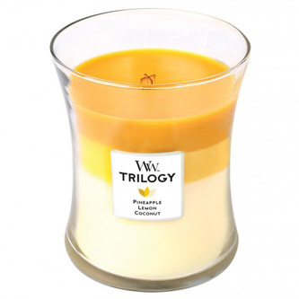 WoodWick Trilogy Plody Léta 275g