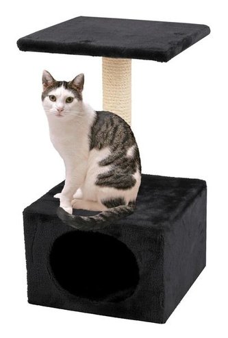 Skrab.KARLIE AMETHYST sede