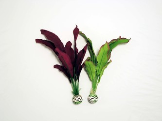 Rostl.akv.BIORB silik. ruz./zel. M