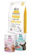 BONUS Brit Care Mini Grain Free Hair & Skin 2kg+2x pouch 85g