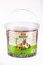 DARWINS SP. morce, kralik 2,7kg