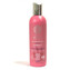 Natura Siberica Šampon na barvené vlasy OIL-PLEX (Shampoo) 270 ml woman