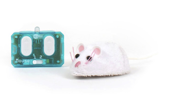 HEXBUG Robotická myš IR