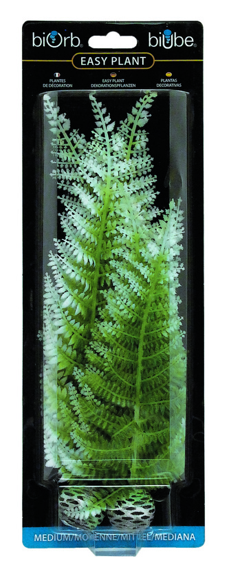 Dekor.Biorb kapradi male