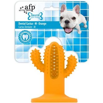 Žvýkací kaktus AFP Dental – Medium