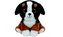 TY Plyšák ROSCOE 24 cm - Doga
