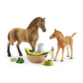 Schleich Set žriebä a Quarter kôň so šteniatkom a doplnky