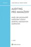 Auditing pro manažery