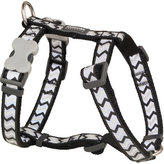 Postroj RD 20 mm x 45-66 cm - Ziggy Rfx - Černá