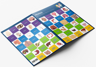 Pexeso Přírodověda Smysly a orgány