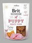 Brit Jerky Puppy Turkey Meaty Coins 80g