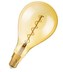 OSRAM Vintage 1906 LED CL A160 Filament GOLD 28 5W 820 E27 300lm 2000K (CRI 80) 15000h A+ DIM (Krabička 1ks)