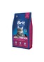 Brit Cat Prem.Adult Chicken 8kg