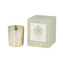 Tiziana Terenzi Andromeda Scented Candle in Gold Glass 170 g UNISEX