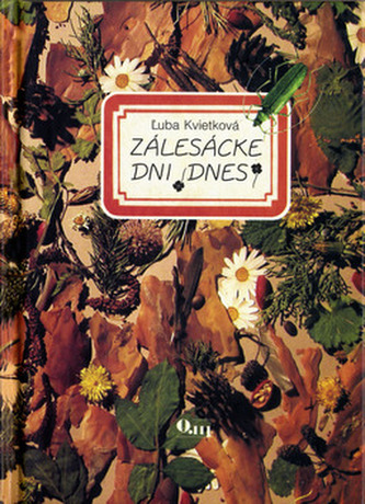 Zálesácké dni (dnes)
